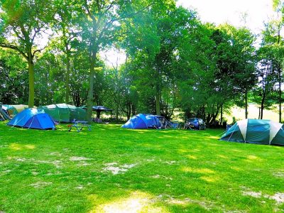 thriftwood-holiday-park-tent-pa807b9di7o213uirzdcayzcstuvtsotbtvdpnzuew.jpg